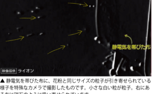 静電気を帯びた布に、花粉と同じ大きさの微粒子が引寄せられる実験の画像静電気を帯びた布に、花粉と同じ大きさの微粒子が引寄せられる実験の画像