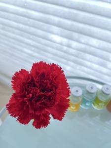 花開いたお花