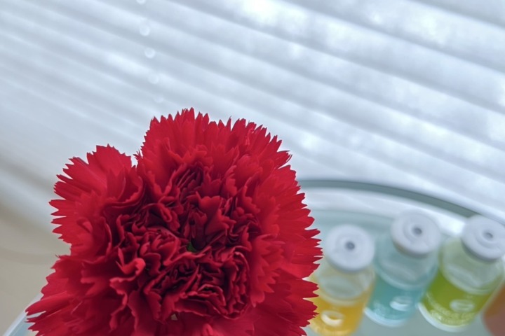 花開いたお花
